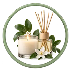 comprar artículos de decoración natural en tienda online abonica
